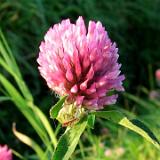 0510F 13 PB-Guetersloh